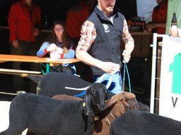 2019_ausstellung polling_324